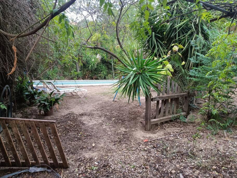 Casa Rural En El Campo Con Animales, Piscina Y Barbacoa Almodóvar del Río Eksteriør billede