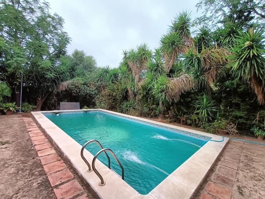 Casa Rural En El Campo Con Animales, Piscina Y Barbacoa Almodóvar del Río Eksteriør billede