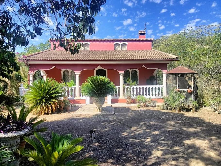 Casa Rural En El Campo Con Animales, Piscina Y Barbacoa Almodóvar del Río Eksteriør billede