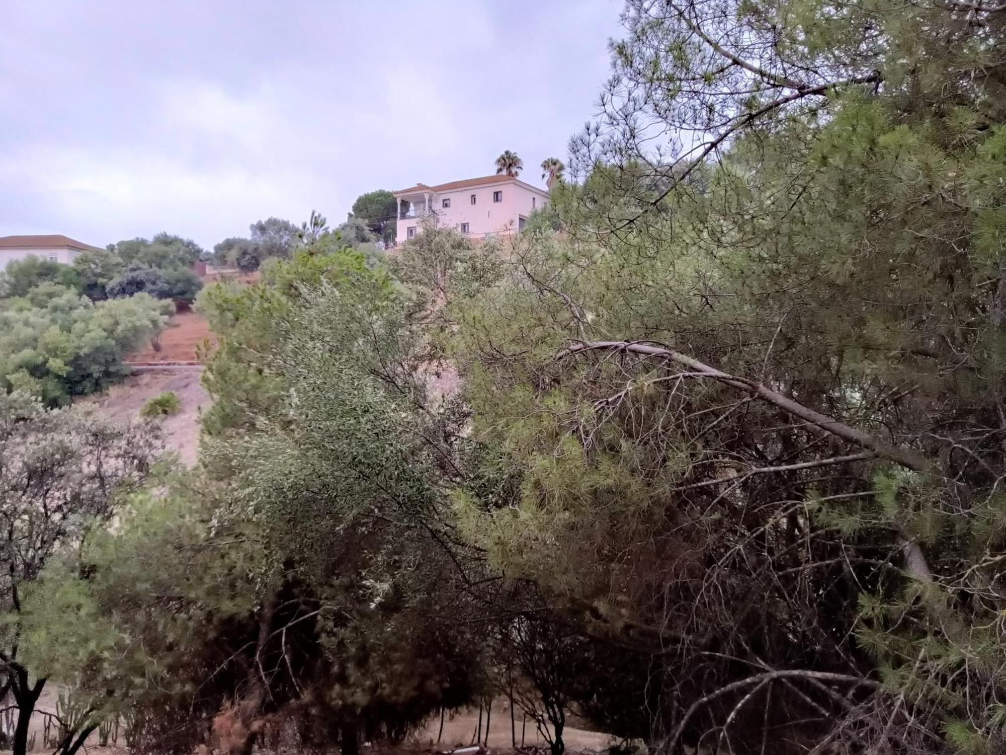 Casa Rural En El Campo Con Animales, Piscina Y Barbacoa Almodóvar del Río Eksteriør billede