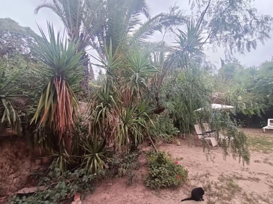 Casa Rural En El Campo Con Animales, Piscina Y Barbacoa Almodóvar del Río Eksteriør billede