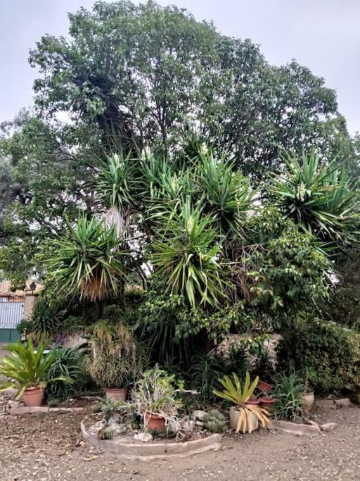 Casa Rural En El Campo Con Animales, Piscina Y Barbacoa Almodóvar del Río Eksteriør billede