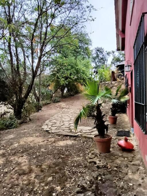 Casa Rural En El Campo Con Animales, Piscina Y Barbacoa Almodóvar del Río Eksteriør billede